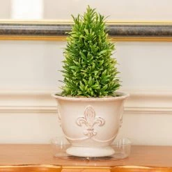 Vigoro 8 in. Plastic Plant Saucer -KANTE Sales vigoro planter saucers vs8vg fa 1000