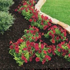 Vigoro 37.5 cu. ft. Brown Recycled Rubber Mulch (25 Bags) -KANTE Sales vigoro rubber mulch gn15bn25 c3 1000