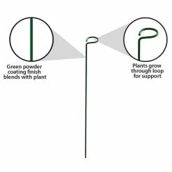 Vigoro 18 in. H x 1.50 in. W Steel Plant Prop -KANTE Sales vigoro tomato cages 611872 hd 1f 1000