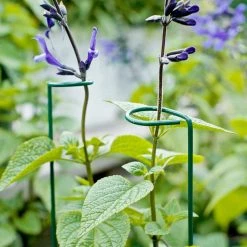 Vigoro 18 in. H x 1.50 in. W Steel Plant Prop -KANTE Sales vigoro tomato cages 611872 hd 44 1000