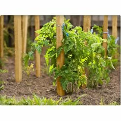 Vigoro 4 ft. Wooden Garden Stake 8 Vigoro 4 ft. Wooden Garden Stake -KANTE Sales vigoro tomato cages rc 84n 4f 1000