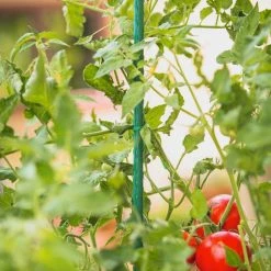 Vigoro 3 ft. Green Colored Steel Core Garden Stake -KANTE Sales vigoro tomato cages st3vg c3 1000