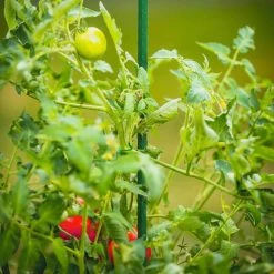 Vigoro 5 ft. Green Colored Steel Core Garden Stake -KANTE Sales vigoro tomato cages st5vg 76 1000