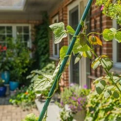 Vigoro 6 ft. Green Colored Heavy Duty Steel Core Garden Stakes -KANTE Sales vigoro tomato cages st6hdvg 4f 1000