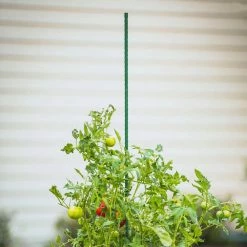 Vigoro 6 ft. Green Colored Steel Core Garden Stake -KANTE Sales vigoro tomato cages st6vg 66 1000
