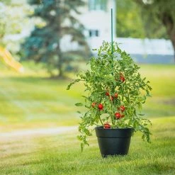 Vigoro 6 ft. Green Colored Steel Core Garden Stake -KANTE Sales vigoro tomato cages st6vg c3 1000