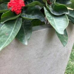 KANTE 31 in. L Rectangular Weathered Concrete/Fiberglass Indoor Outdoor Elegant Planter -KANTE Sales weathered concrete kante plant pots osf0104b c80021 2 44 1000