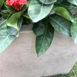 KANTE 31 in. L Rectangular Weathered Concrete/Fiberglass Indoor Outdoor Elegant Planter -KANTE Sales weathered concrete kante plant pots osf0104b c80021 2 fa 1000