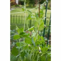 Vigoro 5 ft. x 8 ft. Sturdy Garden Trellis -KANTE Sales white vigoro tomato cages t008avg 1f 1000