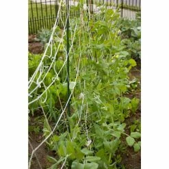 Vigoro 5 ft. x 8 ft. Sturdy Garden Trellis -KANTE Sales white vigoro tomato cages t008avg 44 1000