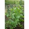 Vigoro 5 ft. x 8 ft. Sturdy Garden Trellis -KANTE Sales white vigoro tomato cages t008avg 64 1000