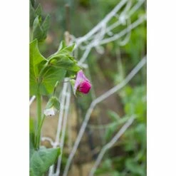 Vigoro 5 ft. x 8 ft. Sturdy Garden Trellis -KANTE Sales white vigoro tomato cages t008avg fa 1000